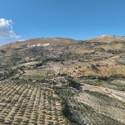 Azienda Agricola Mule Caltabellotta 10