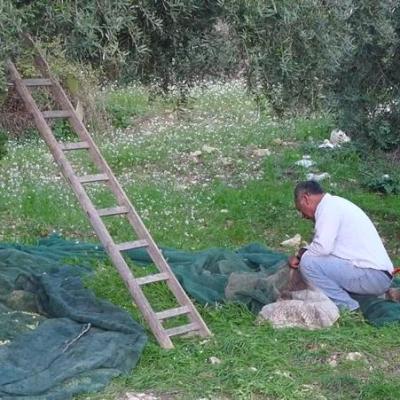 Azienda Agricola Mule Caltabellotta 19